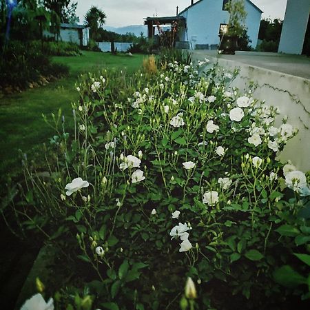 Klipfontein Rustic Farm & Camping Tulbagh Zewnętrze zdjęcie