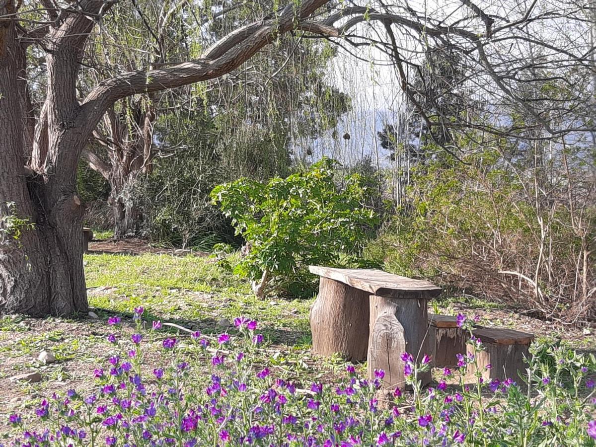 Klipfontein Rustic Farm & Camping Tulbagh Zewnętrze zdjęcie
