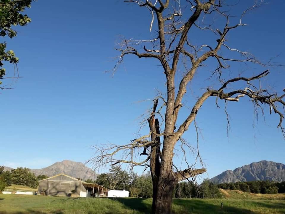 Klipfontein Rustic Farm & Camping Tulbagh Zewnętrze zdjęcie
