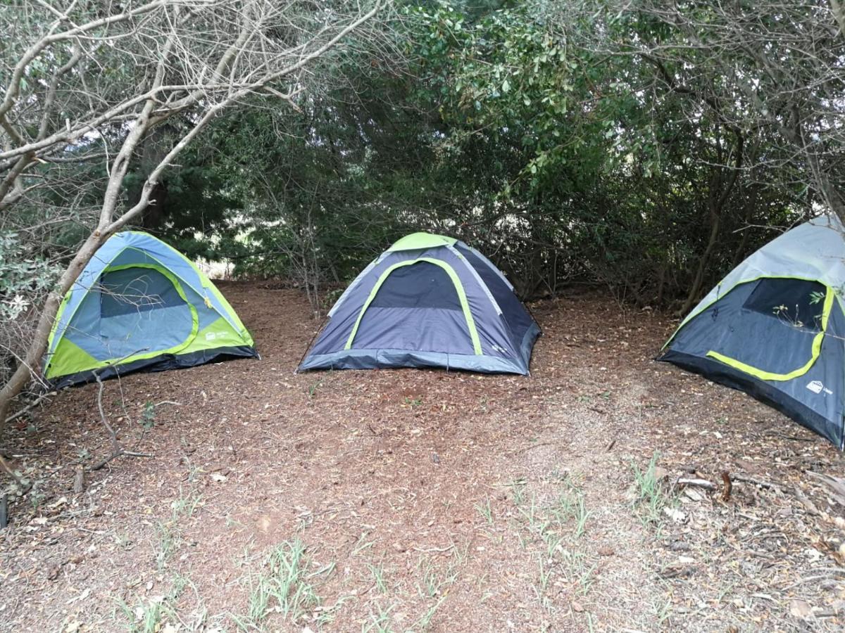 Klipfontein Rustic Farm & Camping Tulbagh Zewnętrze zdjęcie