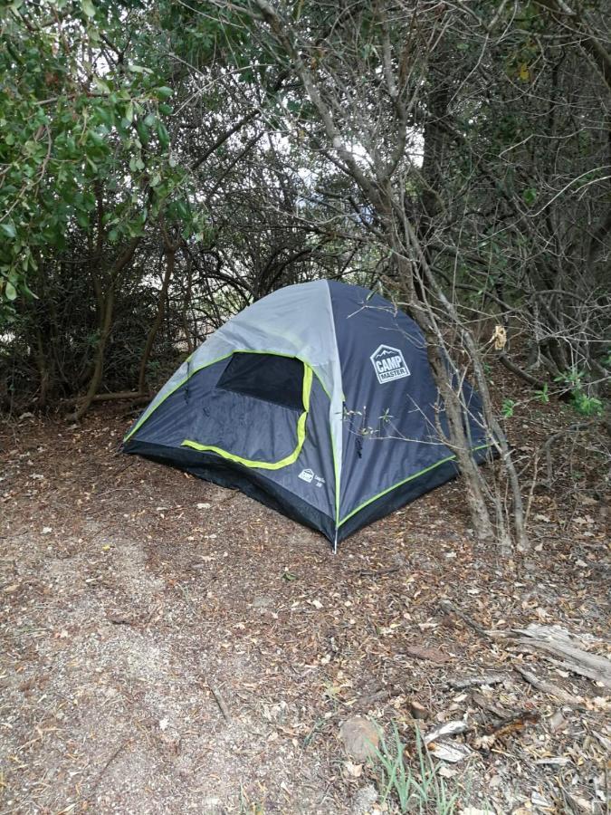 Klipfontein Rustic Farm & Camping Tulbagh Zewnętrze zdjęcie