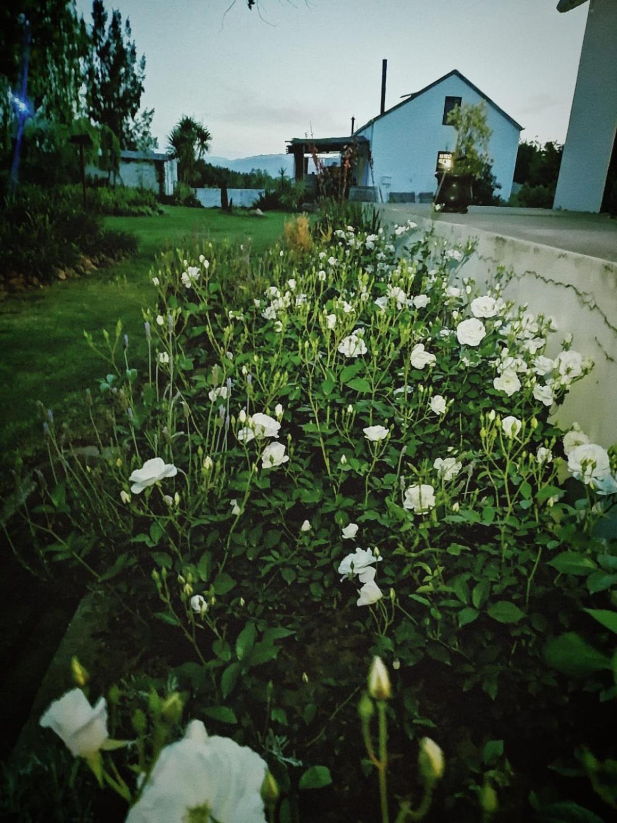Klipfontein Rustic Farm & Camping Tulbagh Zewnętrze zdjęcie